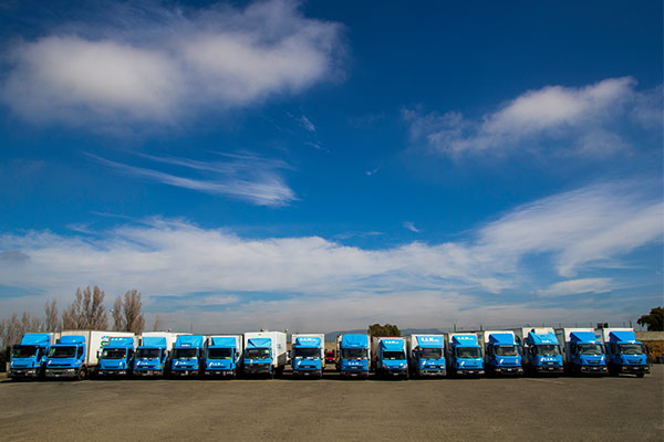 C.A.M. Srl - Chi siamo